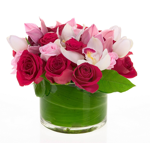 Vday Feature