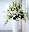 A Solemn Tribute is reflected in this arrangement of all White Roses, Snapdragons, Stargazer Lilies, Stock and Dendrobium Orchids. Fragrant.