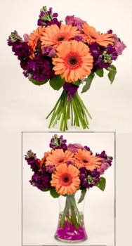 Stock and Gerbera daisies are arranged by hand and tied with a deep purple ribbon