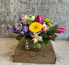 Spring's Iconic Blooms